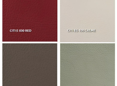 Kaksi henkilöä sohva, jossa on vuode-toiminto modernissa muotoilussa 100% italialaisesta nahasta