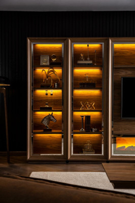 Luksus olohuoneen seinä takalla ja kahvipöydällä