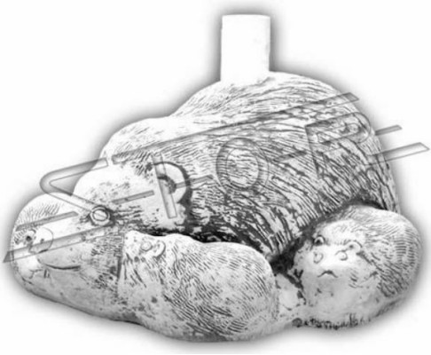 Varjostimen paino Aurinkovarjo Sokka Jalka Siilipatsas Puutarha