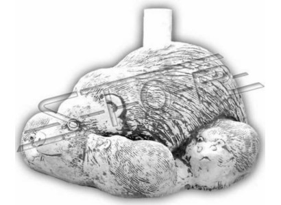 Varjostimen paino Aurinkovarjo Sokka Jalka Siilipatsas Puutarha
