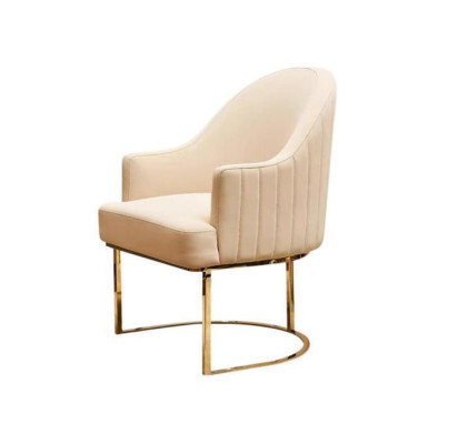 Beige ruokailutuoli Designer yksistöinen tekstiili huonekalut patjatut tuolit