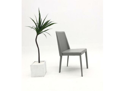 Design Tuoli Lehn Tuolit Pehmuste Ruokailuhuone Nojatuoli Club Keittiö Lounge Olohuone Kaluste