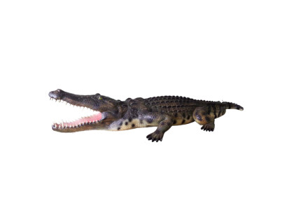 Krokotiili Puutarha Dekoroitu Elämänkokoinen Patsas Figuurit Veistos 320 cm Patsaat Figuuri