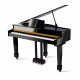 Pianot & Flyygelit
