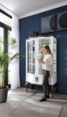 Klassische Vitrine Schrank Wohnzimmer Vitrinenschrank Vitrinen Regal Schränke