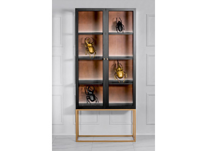 Vitrine-kaapit Lasikehys Huonekalu Suunnittelu Olohuone