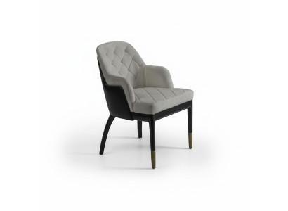 Tuoli käsinojilla, design-luksus huonekalut, ruokailuhuone, uusi sisustus