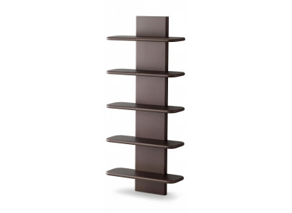 Wandregal Modern Braun Edel Hängeregal Design Stufenregal Regal